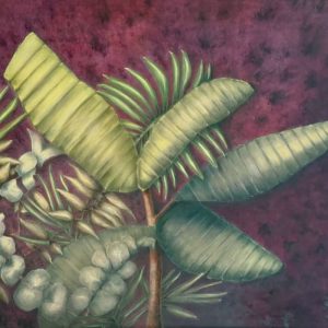 Biodiversidad